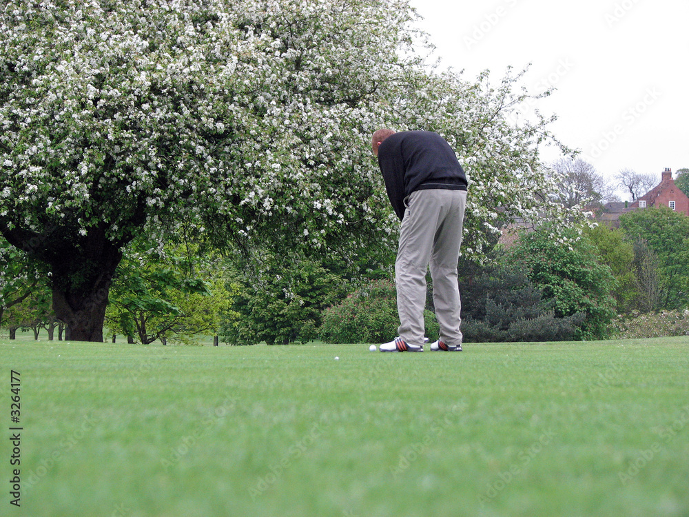 golfer on the fairway golfer on the fairway