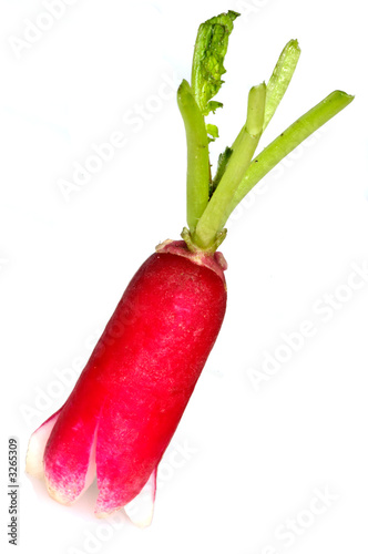 radish