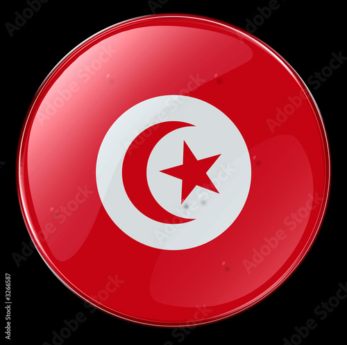 tunisia flag button photo