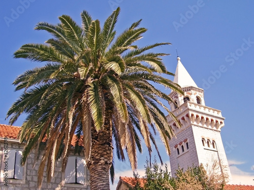 palm and tower