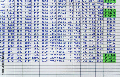 spreadsheet data on a computer screen.