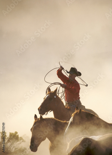 cowboy catching horses