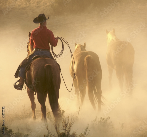 bringing the horses in