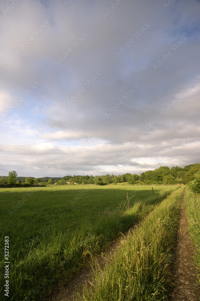 le chemin