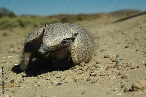 descanso del guerrero