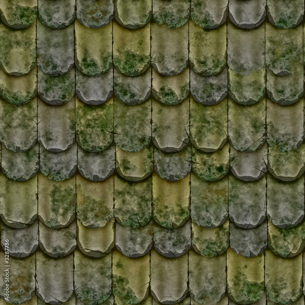 Fototapeta premium alte dachschindeln