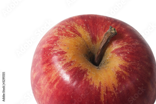 red apple close up