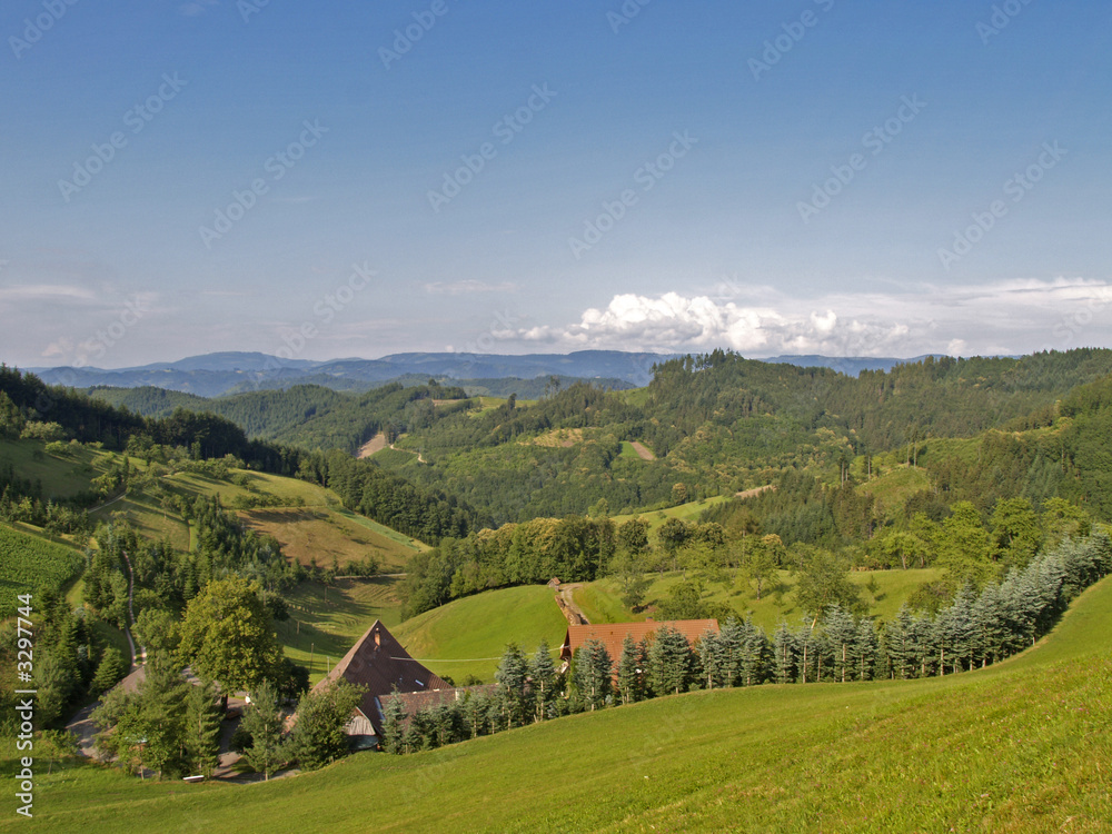 black forest black forest