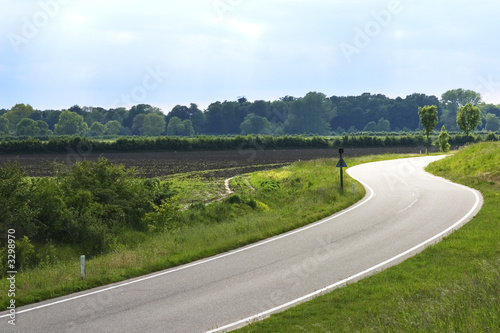sunny road