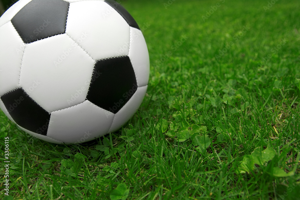 soccer ball on grass