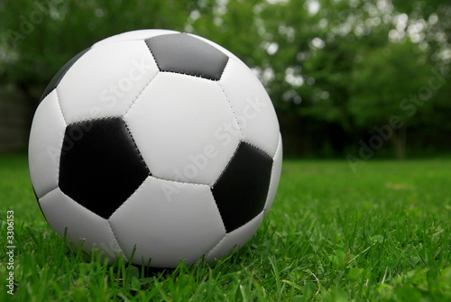 soccer ball on grass © TRITOOTH