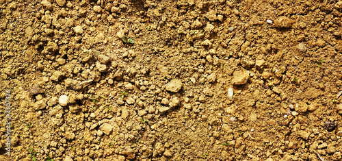 dry soil texture