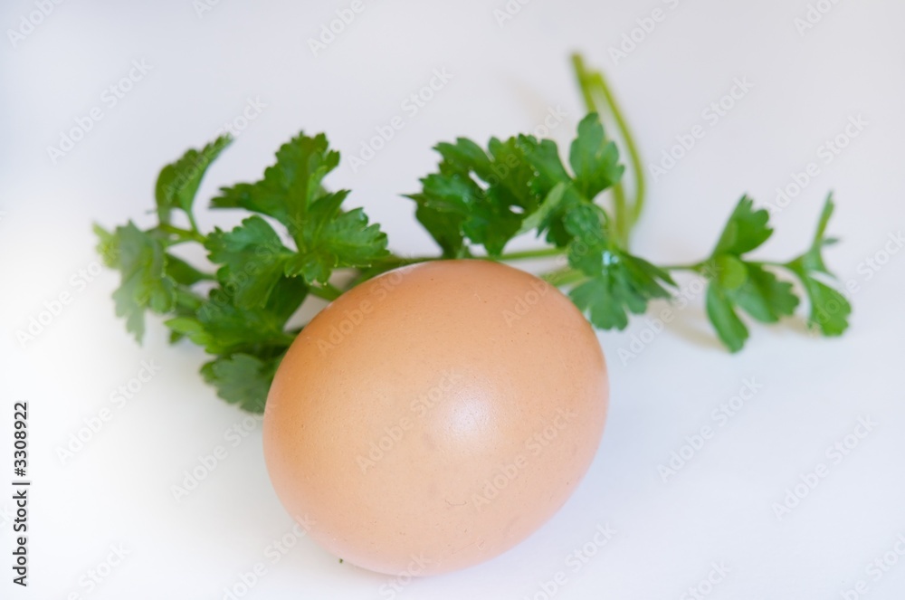 egg egg