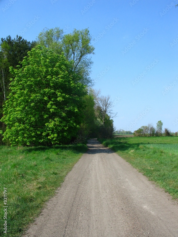 country road