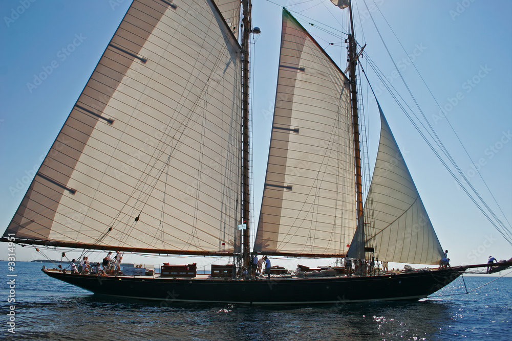 Naklejka premium bateau à voile