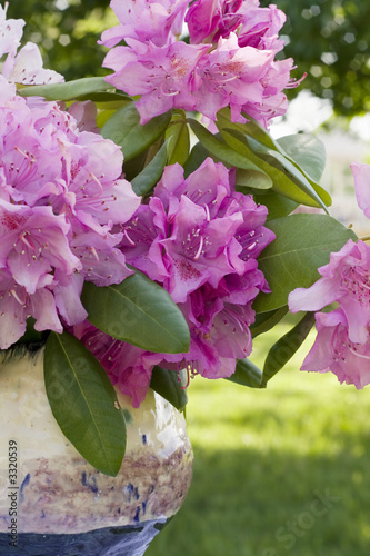 flowers and vase