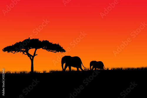 elephant red © redrex