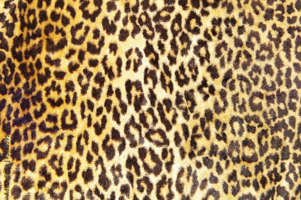 leopard pattern leopard pattern