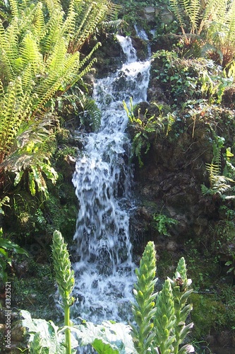 cascada en el jardin 2