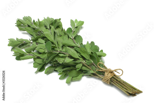 sweet marjoram