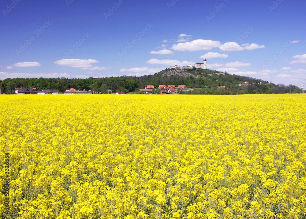  yellow field with castle