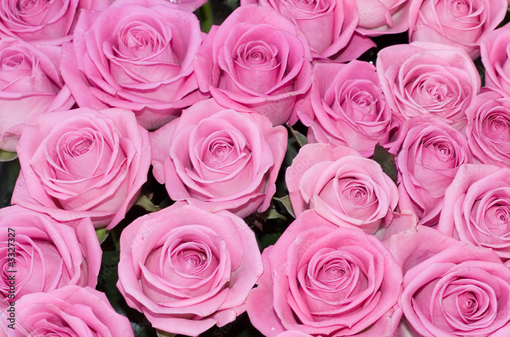 wedding pink bridal roses from above, from top wedding pink bridal roses from above, from top