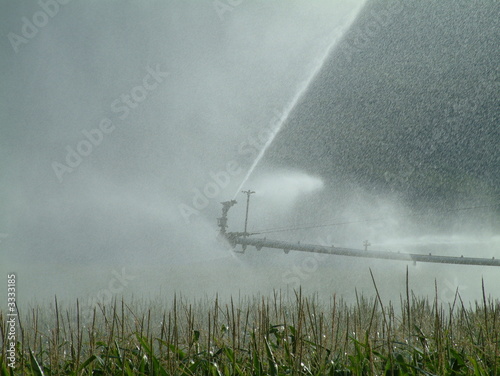 irrigation