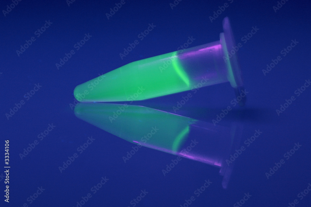 gfp 1 gfp 1