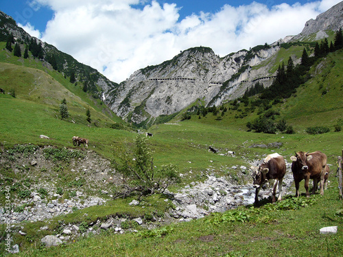 vallée, col et vaches © Sébastien Closs