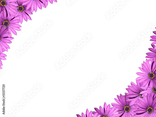 floral frame