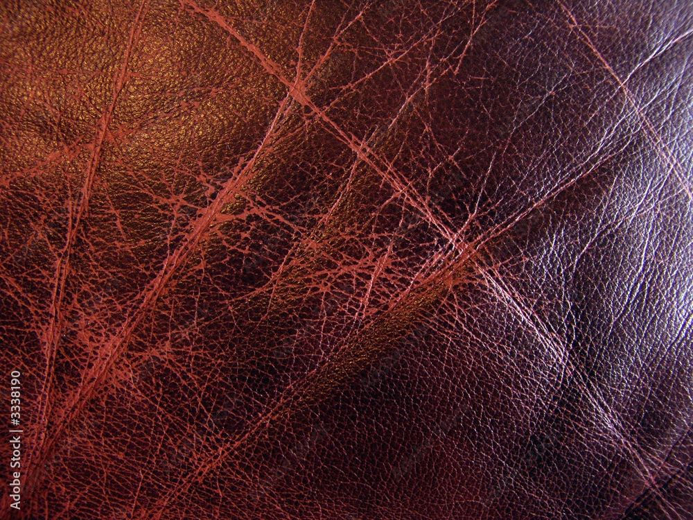 Fototapeta premium leather texture