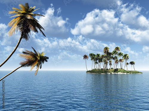 palm island © Sergey Tokarev