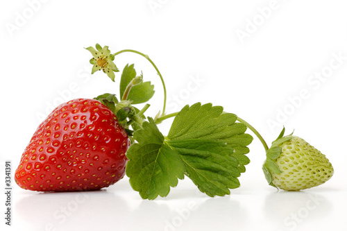 strawberry #3341391