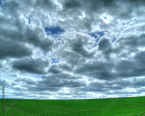 lush field