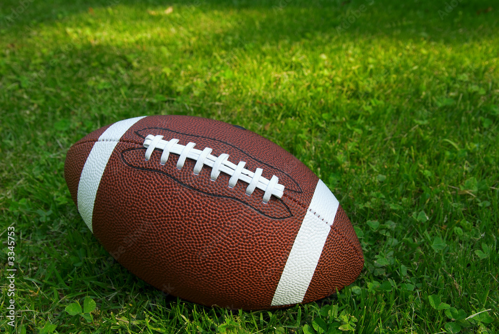 football on grass football on grass