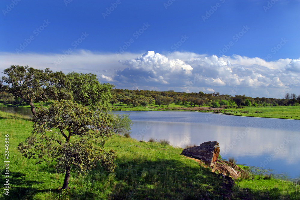 Fototapeta premium alentejo landscape