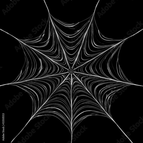 Stampa su tela giant spider web