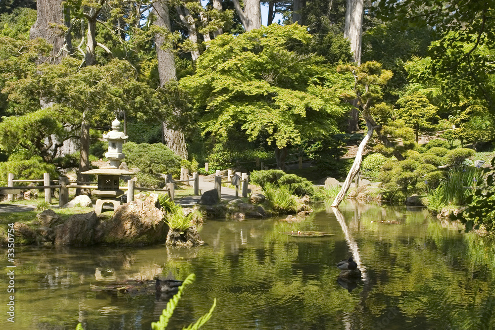 Obraz premium the japanese tea garden water reflection