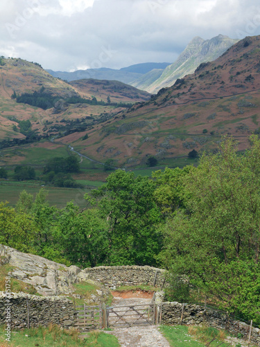 the langdale pikes from tilberthwaite photo
