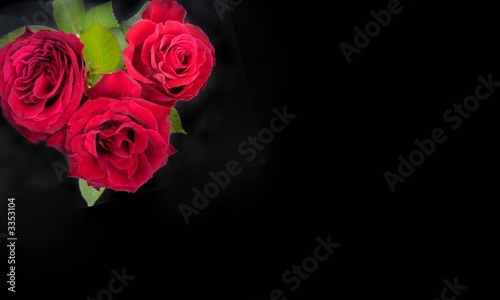 greeting card with roses