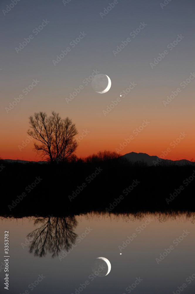Obraz premium winter moon and lone tree