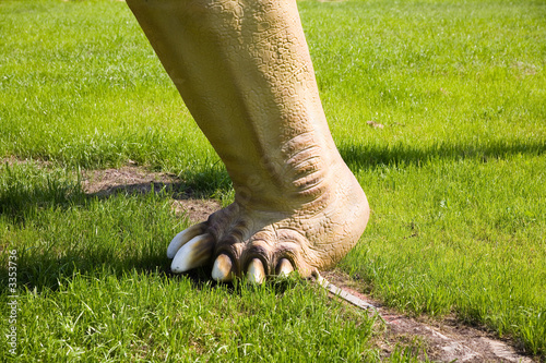 diplodocus longus leg photo