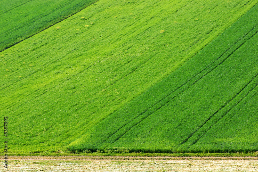 geometry of spring countryside - fields