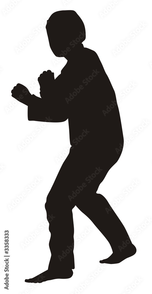 silhouette of martial arts silhouette of martial arts