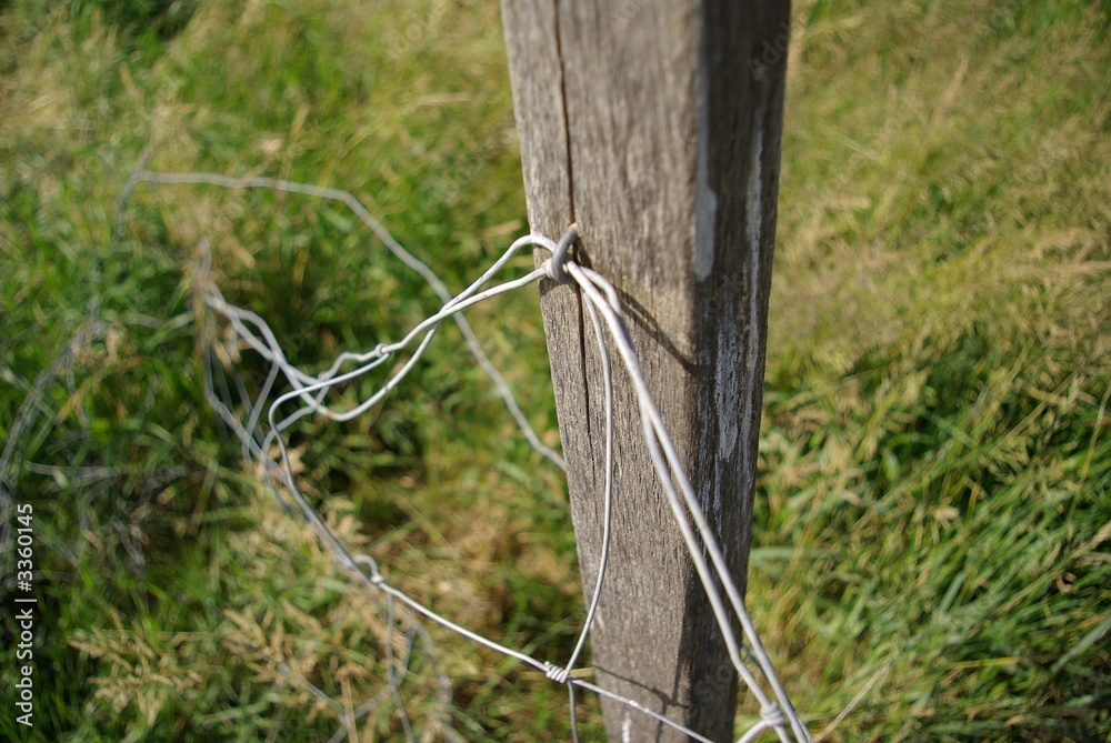 Fototapeta premium stacheldraht