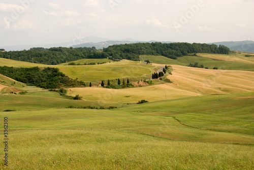 casciano di murlo, paesaggio (siena) photo