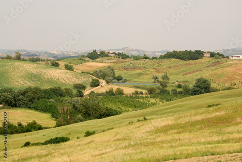 casciano di murlo, paesaggio (siena) photo