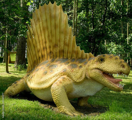 dimetrodon (dimetrodon grandis )