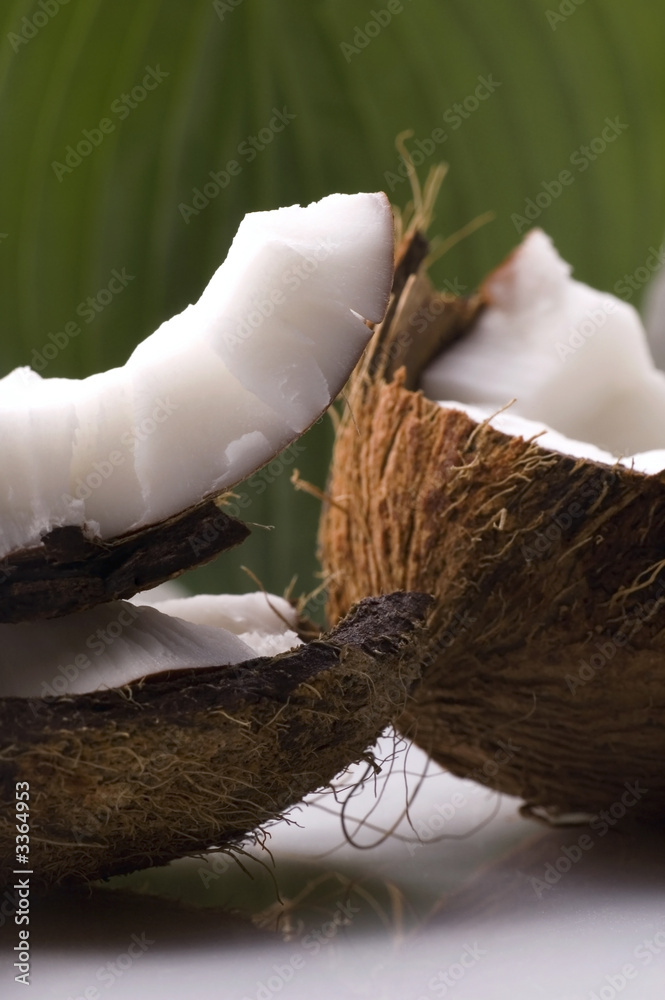 open coconut and resh green leaf open coconut and resh green leaf