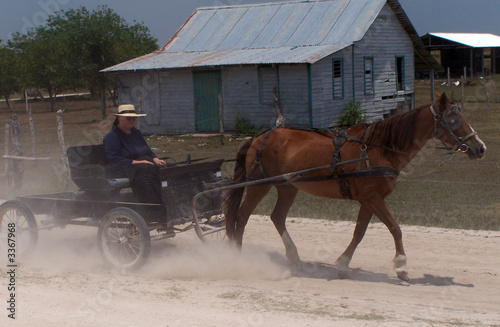 mennonites of belize. photo